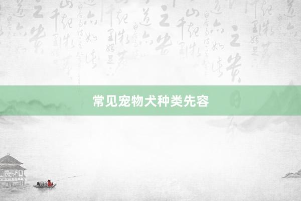 常见宠物犬种类先容